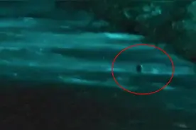 成都都江堰一人被急流冲走生死未卜？派出所：沿途搜救，暂未发现图片