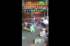 大风将大树连根拔起，外卖小哥弯腰惊险躲过，树干拦腰砸在电动车上图片