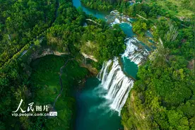 贵州安顺：黄果树瀑布进入最佳观赏期图片