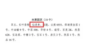 全国唯一荔枝品种！增城仙进奉入选“2023年农业主导品种”图片