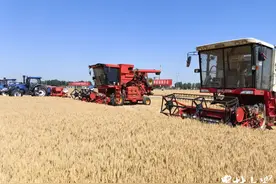 不同收割机同场PK，机损率相差一倍图片