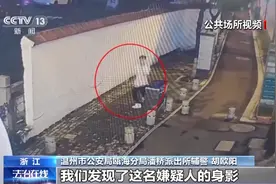 和警察赛跑？这个“马拉松+退役军人”阵容让嫌疑人无处可逃图片