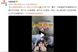 大熊猫洗澡两个半人摁半个负责洗 大熊猫被迫洗澡全程生气图片