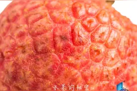 解锁荔枝的“花样”吃法，你学会了吗？图片