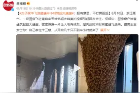 女子家中进蜜蜂 半小时被筑超大蜂巢 密密麻麻让人毛骨悚然图片