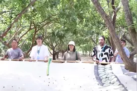 好客山东 好品山东｜“中国椹果之乡”让国际学生大饱口福 沉浸式体验黄河故道古桑文化图片