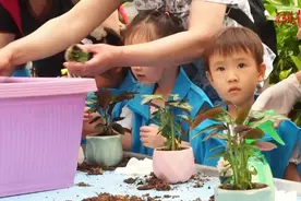 济南国际鲜花港研学基地开营，高科技花卉培育面向学生图片