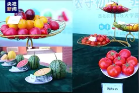 甜蜜毕业季！陕西一所高校科研成“果”送别毕业生图片