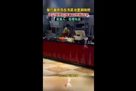 餐厅服务员在洗菜池里涮拖把，洗完拖把后接着在里面洗菜 负责人：处理失误图片