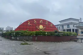 太子奶创始人李途纯：我不是“冒险家”，不排斥做“网红”图片