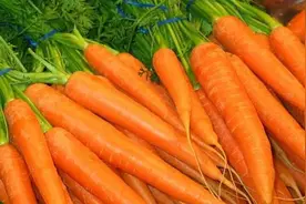 每天吃 1 根胡萝卜会发生什么？视力真的会变好？免疫力真的会变强吗？图片