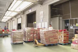 大连机场全链条保障，7300吨大樱桃“飞”向全国图片