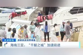 海南！100亿元大风口图片