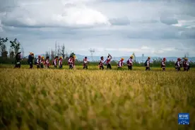 一程山水有弦歌，“研学”需要回归教育的本真 | 睡前聊一会儿图片