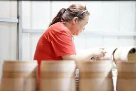 河北文安：西洋乐器生产奏响高质量发展新乐章图片