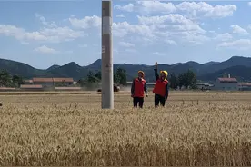国网林州市供电公司：全力做好“三夏”服务 助力夏粮颗粒归仓图片