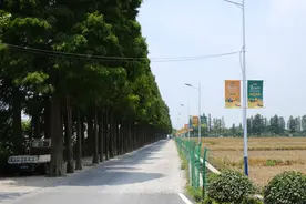 《种地吧》带火后陡门 142亩农田缘何成了一片热土？图片