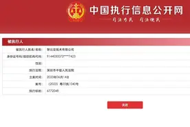 中兴子品牌努比亚遭强制执行，手机业务“中年危机”何解？图片