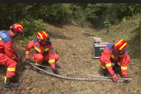 云南一村子附近发现2.8米长眼镜王蛇，还有30枚蛋……图片