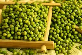“夏天一碗绿豆汤，解毒去暑赛仙方”，家家都备着，但这6类人再馋也要忍住！图片