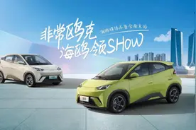 小身材大味道，全能海鸥闪耀金陵图片