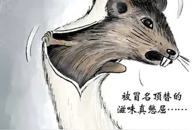 画说热点｜鼠头图片