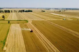 河北邯郸丨实探“吨粮县”，盐碱地里的科技重量图片