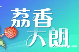 东莞大朗有一个“荔枝迷”，他种植的荔枝揽获全国金奖！图片