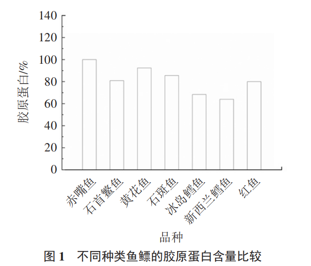 驰记工坊即食花胶怎么样 2026年驰记工坊即食花胶效果好吗