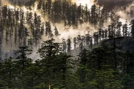 瓦屋山#一座不用爬的山等你来打卡！！！图片