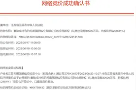 苏南瑞丽航空股权拍卖落槌：成交价8.047亿元，接盘方仍为无锡国资图片