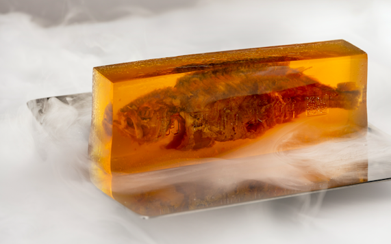 南京哪里买花胶海参 2026年南京哪里买花胶海参便宜