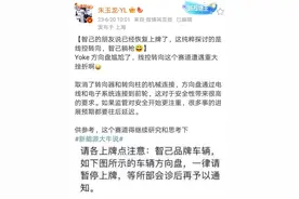 网传半幅方向盘汽车暂停上牌，车管所、特斯拉、智己回应图片