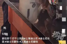 游客进入上海迪士尼又遇“翻包检查”，迪士尼工作人员：入园必须安检，部分食物不能入园图片