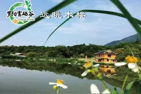 一起来荔枝之乡，登高摘荔休闲一日游图片