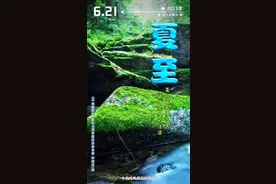 海报｜夏日暖风暑气生 绿阴流水纳清凉图片