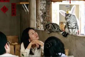 把兴趣变成事业——猫咖创业者和她的37只猫图片