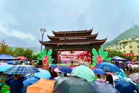 共建和美漠滨·同享梅好时光 | 2023会同县漠滨杨梅节开幕！图片