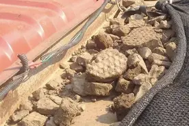 【有事找紫牛】有人私自倾倒工业废料？记者调查：系营养土半成品 ，堆场将取缔图片