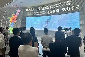 寻找合作机遇 100余名民营企业家走进两江新区图片