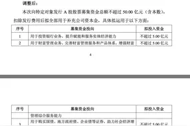 南京证券调整50亿定增预案：投向更细化、更贴合监管要求图片