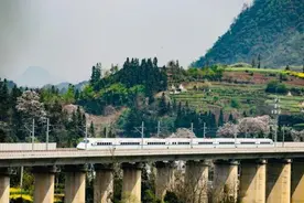 想体验15℃的夏天？来坐这条“避暑高铁”图片