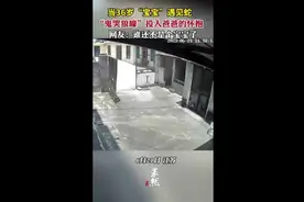 当36岁“宝宝”遇见蛇，“鬼哭狼嚎”投入爸爸的怀抱 网友：谁还不是个宝宝了图片