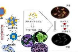 广东荔枝有望保鲜15天图片
