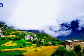 川渝好风光丨丹巴：美人谷麦穗金黄 这里的端午节是油画氛围图片