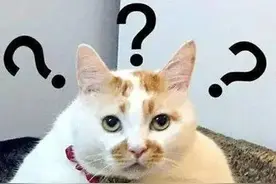 一公司标志“太丑”引吐槽，回应：是董事长本人图片