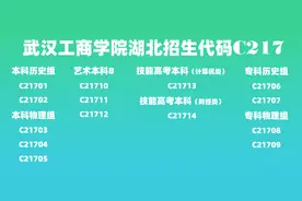 权威发布 | 2023年《湖北招生考试》武汉工商学院专业代码图片