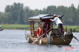 安新白洋淀景区旅游热图片