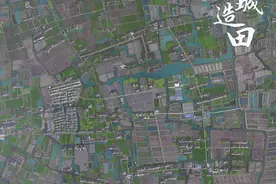 大都市如何“生”出万亩粮田？图片