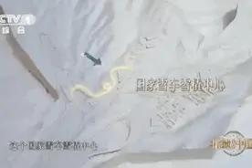 高铁“心脏”的绝缘材料竟然是纸？500℃明火都点不着！🤙图片